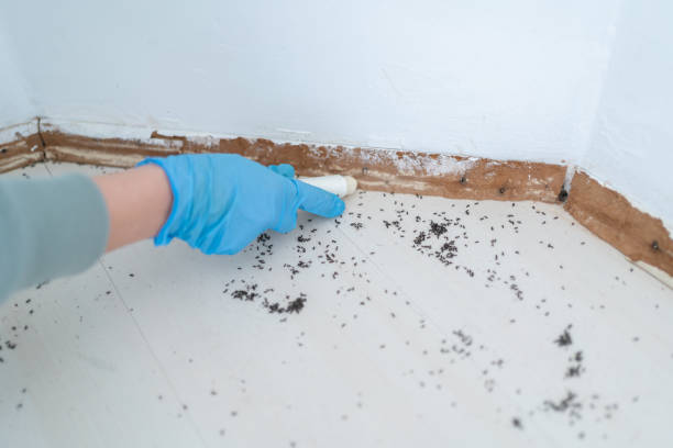 Best Pest Inspection Near Me  in Cricket, NC